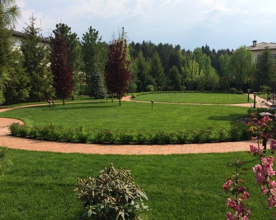 дизайн приусадебного участка