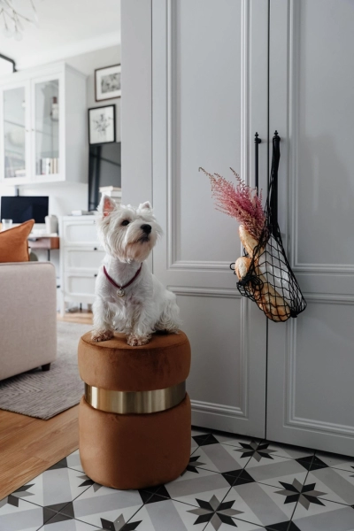 Квартира в паризькому стилі: затишок для молодої пари (40 кв.м) 10 Московская квартира 40 м² для красивой жизни