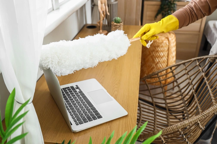 Пипидастр: Что это и зачем он нужен в XXI веке? 3 Вопросы читателей: что такое пипидастр и для чего он нужен